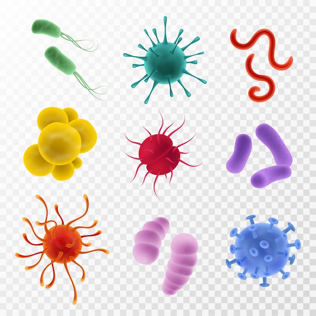 Vector realistic viruses. types and microorganism colorful shapes. bacteria, germs and bacillus flu and covid-19. biological science laboratory, microbiology objects 3d vector on transparent background set