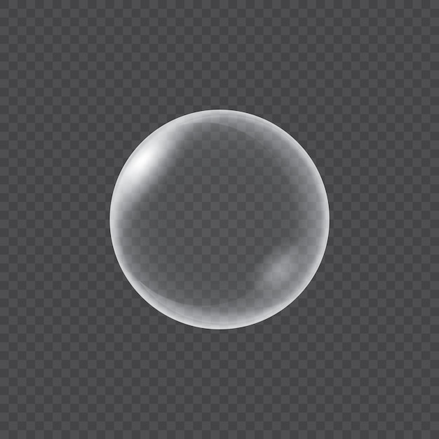 Vector realistic water bubbles isolated