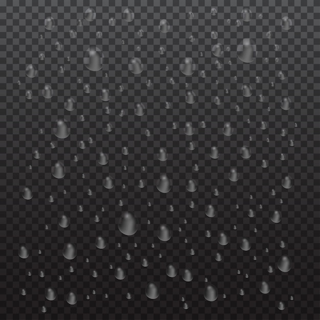  realistic water drops condensed on black transparent . Macro aqua bubbles isolated on glass. Rain droplets without shadows for transparent surface.