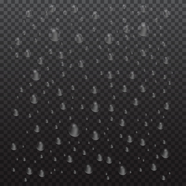 Vector realistic water drops condensed on black transparent . macro aqua bubbles isolated on glass. rain droplets without shadows for transparent surface.