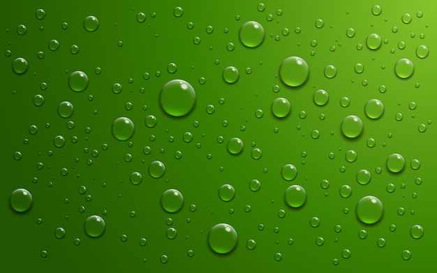 Realistic water drops on green background