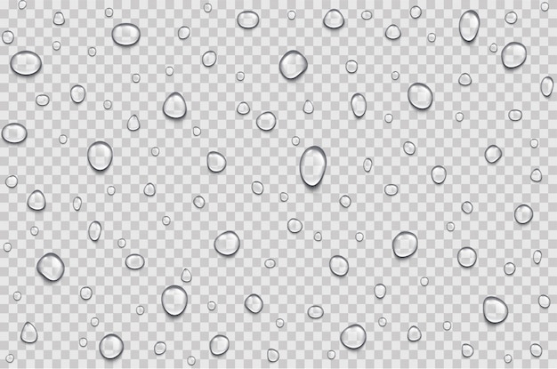 Realistic water rain drops .