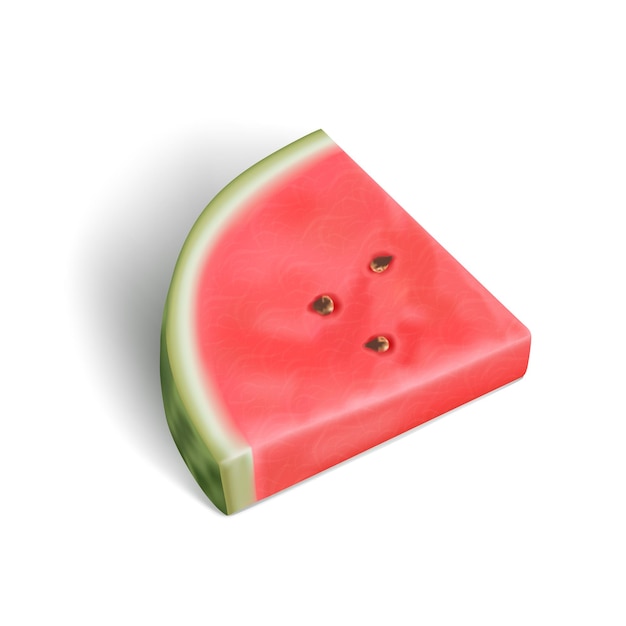 Realistic watermelon in 3d on white background Summer fruit illustration Watermelon slice vector