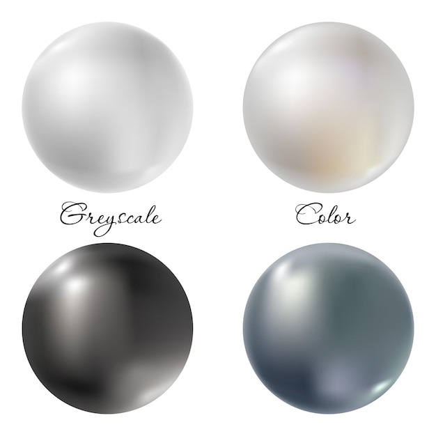 Vector realistic white and black pearl gems or balls set with natural reflections and 3d effect