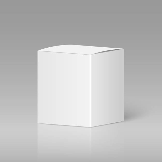 Vector realistic white blank box