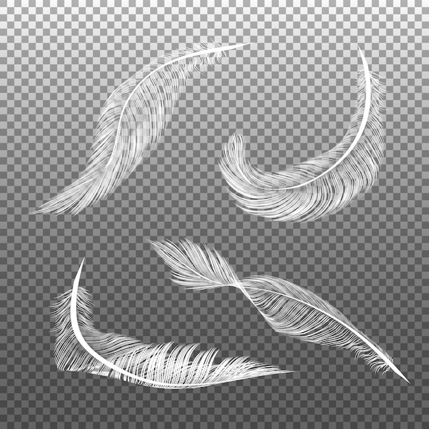 Vector realistic white feathers. flying furry weightless white swan objects isolated on dark background