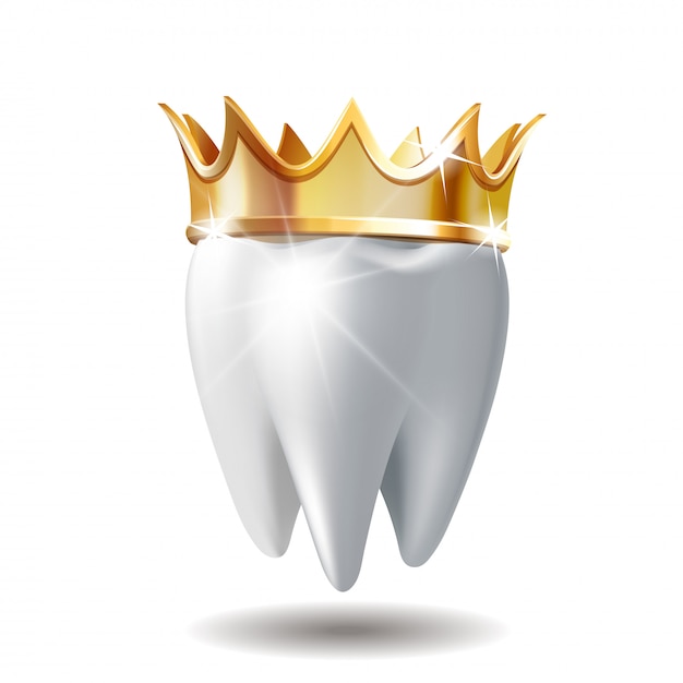 Vector realistic white tooth in golden crown isolated on white