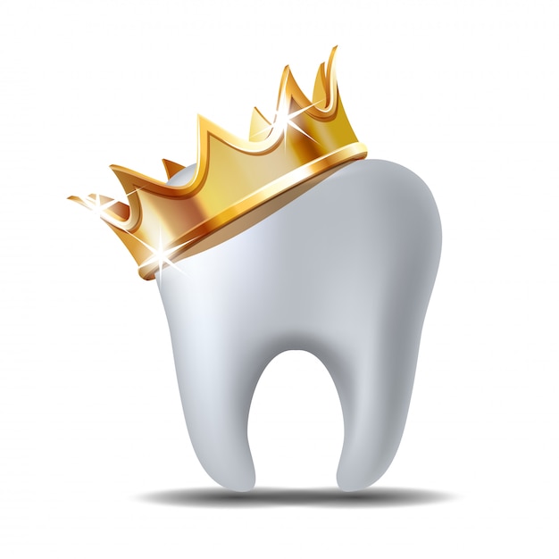 Vector realistic white tooth in golden crown isolated on white