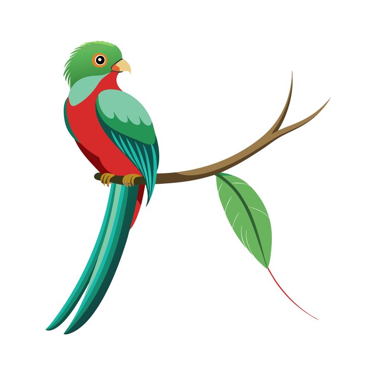 Vector realistic wildlife animal vector illustration