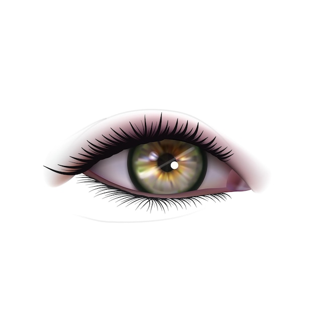 Realistic Woman Eye On White