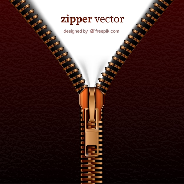 Realistic zipper