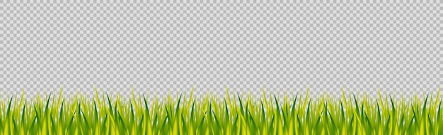 Realistisch groen gras op een transparante panoramische achtergrond vectorillustratie
