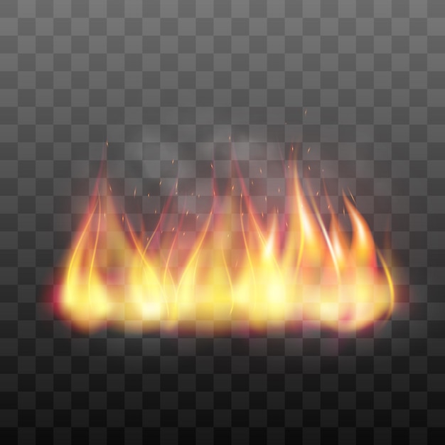 Realistisch helder brandend kampvuur effect Vlamend kampvuur vlam grafisch ontwerp element Vector illustratie van vuur geïsoleerd op zwarte transparante achtergrond