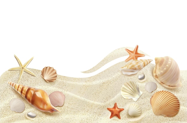Realistisch strand bovenaanzicht aan zee met schelpen
