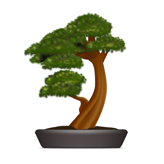 Vector realistische 3d bonsai pine in container vector illustratie van kleine boom die in een pot groeit
