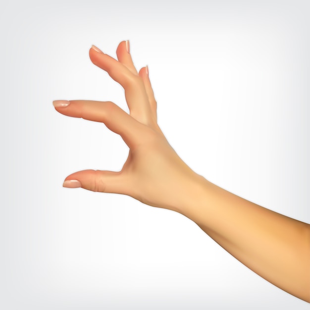 Realistische 3D-silhouet van de hand met de grootte van je vingers, de mogelijkheid om iets in te voegen