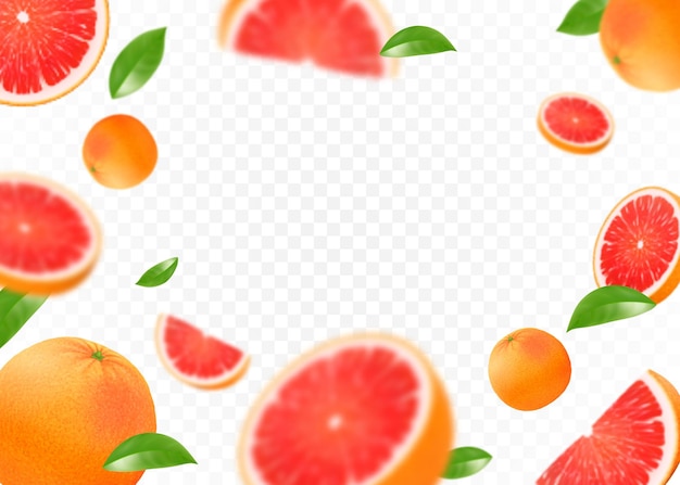 Realistische 3d vliegende grapefruit op transparante achtergrond fruit citrus achtergrond geïsoleerd geheel en stukjes sappig fruit met bladeren wazig objecten naadloze vectorpatroon voor reclame