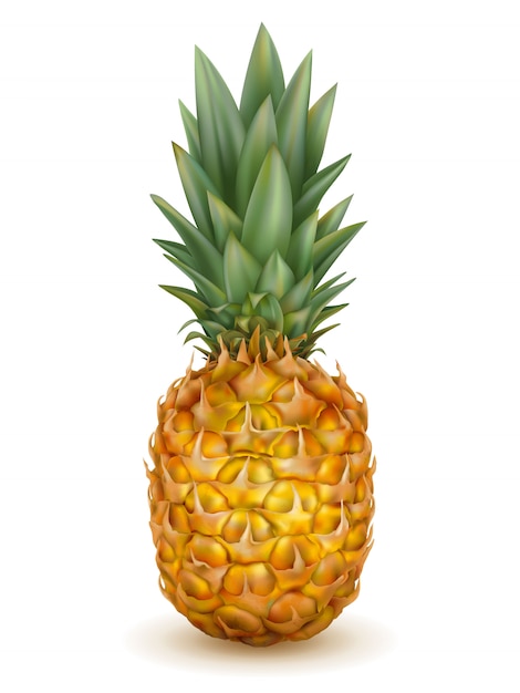 Realistische ananas geïsoleerd