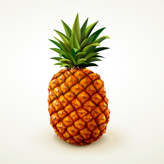 Realistische ananas voor gebruik geïsoleerd op beige achtergrond