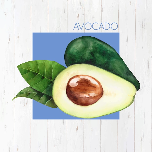 Realistische avocado achtergrond