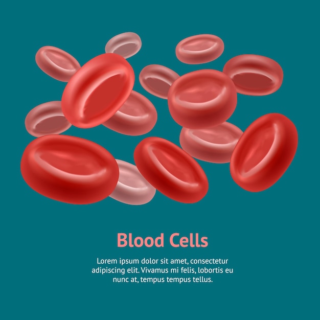 Realistische bloed erytrocyten kaart poster vector