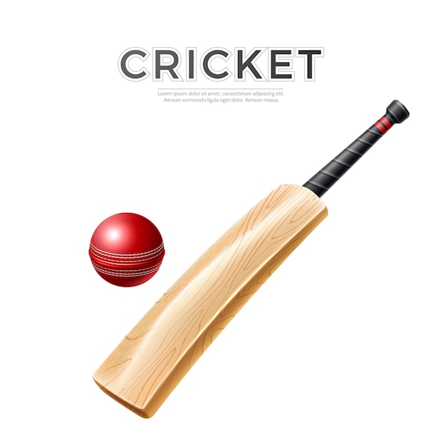 Realistische cricketbat met leren bal houten stok voor cricketontwerp