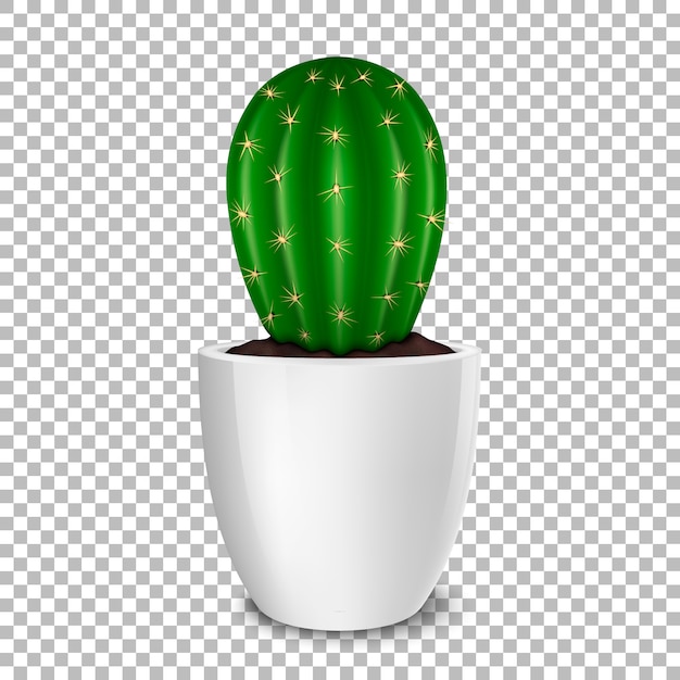 Realistische decoratieve cactus plant in witte bloempot pictogram close-up geïsoleerd