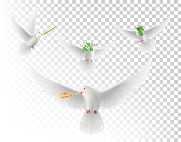 Realistische duiven met takken. witte vliegende duiven geïsoleerde set. illustratie realistische duif met groene tak