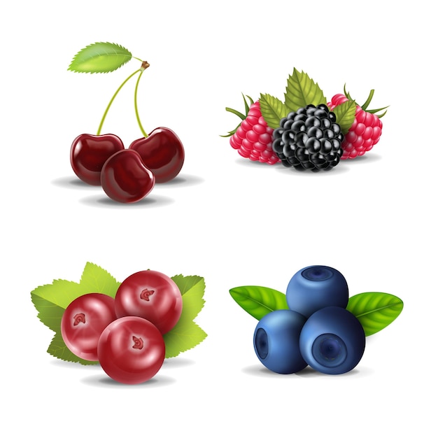 Realistische gedetailleerde 3D Raw Berries Set Vector