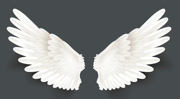 Realistische gedetailleerde 3D witte vleugels set vector