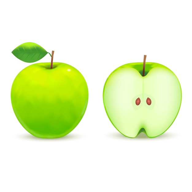 Realistische gedetailleerde groene appel vers gezond biologisch fruit Raw Nutrition illustratie