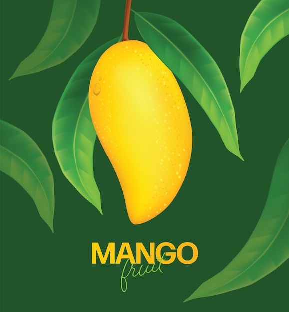 Realistische gedetailleerde hele en stukjes mango