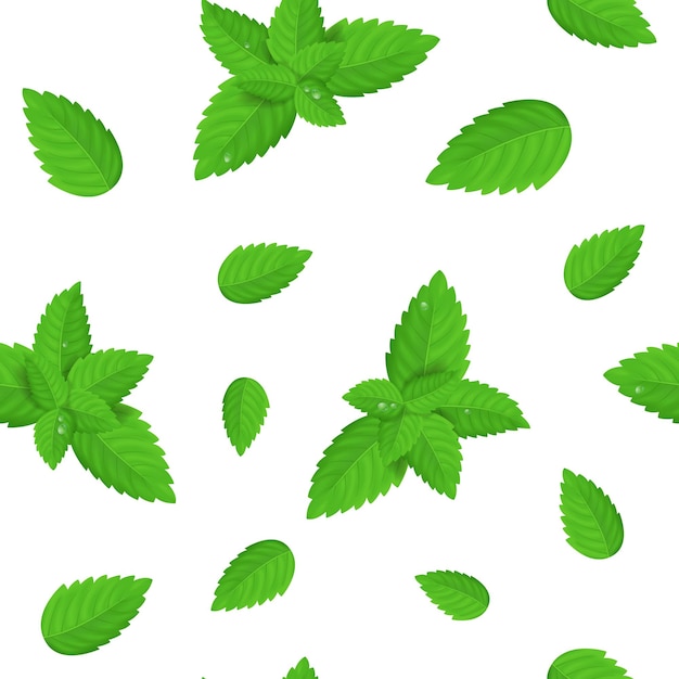 Realistische gedetailleerde verse groene muntblaadjes naadloze patroon achtergrond vector