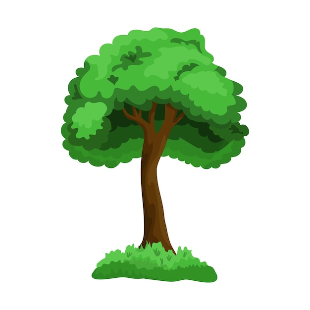 Realistische groene bladverliezende boom geïsoleerd op een witte achtergrond vectorillustratie
