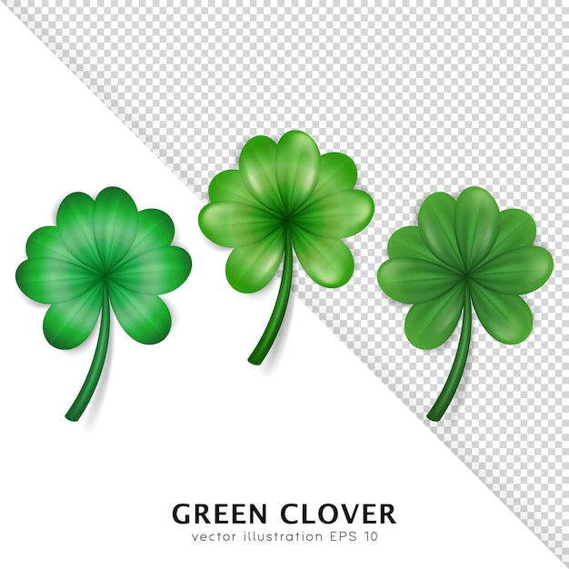 Realistische groene klaver verschillende stijl geïsoleerd op transparante achtergrond Shamrock voor St Patrick Day