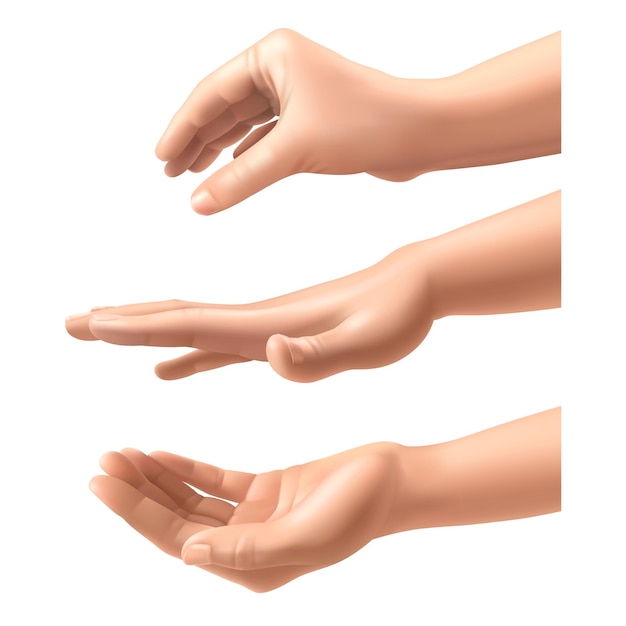 Realistische handen. Vrouw verschillende gebaren hand houden, extrusie en druk vingers positie, geïsoleerde menselijke arm collectie, interactieve vrouwelijk lichaam close-up 3D-onderdelen vector set op witte achtergrond