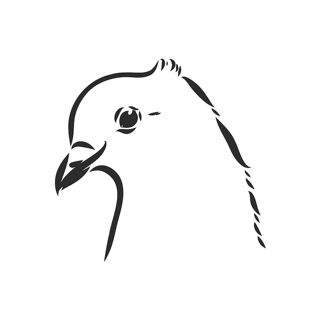 Vector realistische handgetekende duif. vectorillustratie of element voor uw ontwerp.