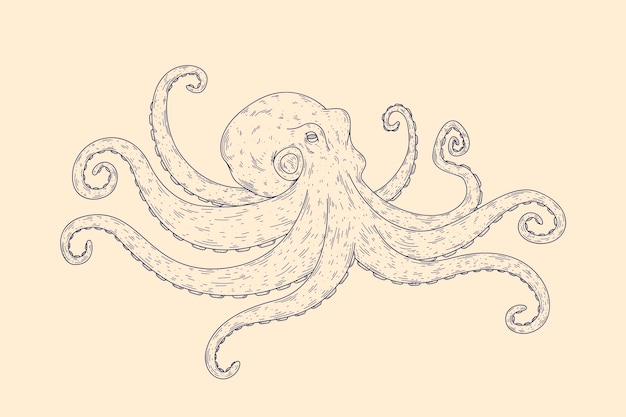 Vector realistische handgetekende octopus