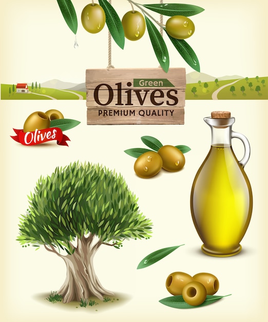 Realistische illustratie van fruitolijven, olijfolie, olijftak, olijfboom, olijfboerderij. label van groene olijven met realistische olijftak tegen de achtergrond van olijfplantages