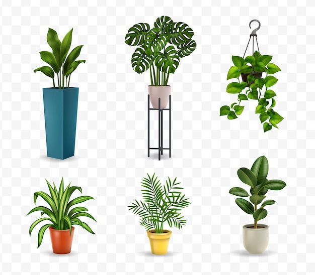 Realistische kamerplanten
