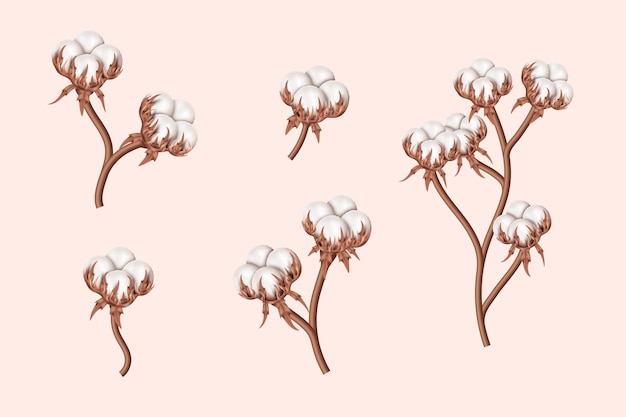 Vector realistische katoentakken met bloemen mooie stengels met witte bloesems natuurlijke vezels bollen