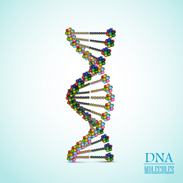 Realistische kleurrijke dna helix-conceptenillustratie