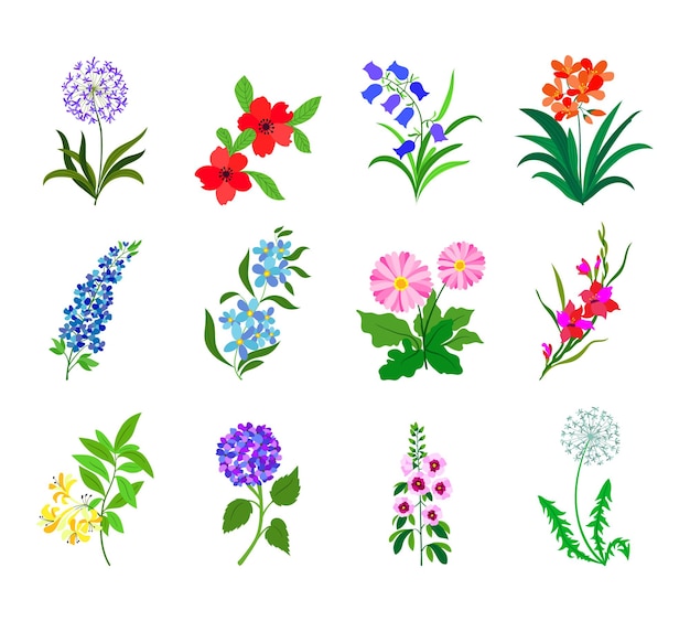 Vector realistische kleurrijke platte bloemen. perfect voor illustratie en natuureducatie