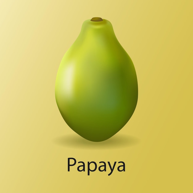 Vector realistische papaya verse rijpe groene papaya