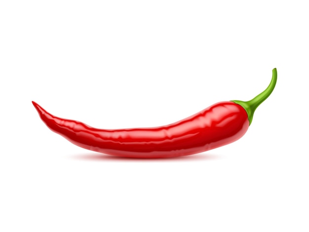 Realistische rauwe geïsoleerde hele chili peper 3d pod