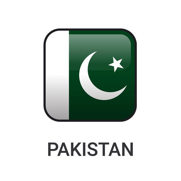 Vector realistische rechthoek pakistan vlag pictogram vector geïsoleerd op witte achtergrond voor sport wedstrijd pictogram