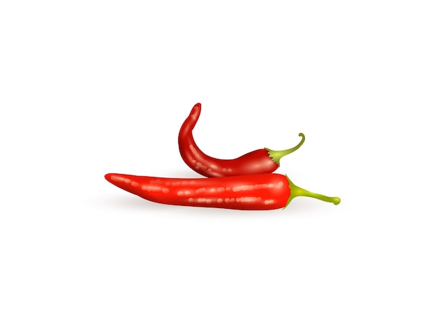 Realistische rode chili peper met schaduw pittige chili voor recepten culinaire kunst en voedselversiering