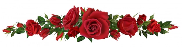 Realistische rode rozengrens. De elementen van de bloembloesem, mooie bladeren en bloemensamenstelling voor huwelijkskaart en uitnodiging illustratie natuurlijke botanische liefde frame-elementen