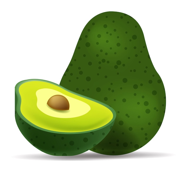 Realistische vector avocado's illustratie. Hele en gesneden avocado geïsoleerd op een witte achtergrond.