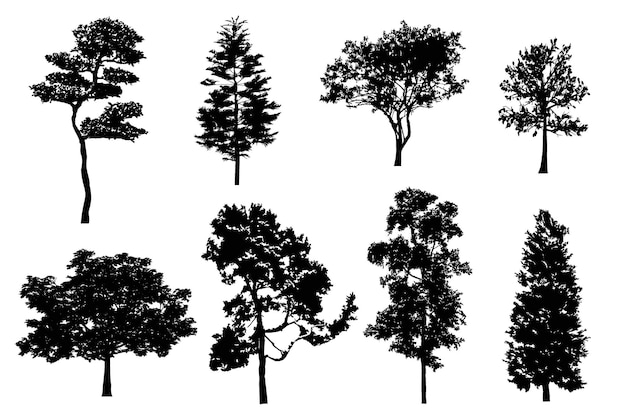 Realistische vector gedetailleerde boomsilhouetten instellen Geïsoleerde zwarte woudbomen voor uw ontwerp